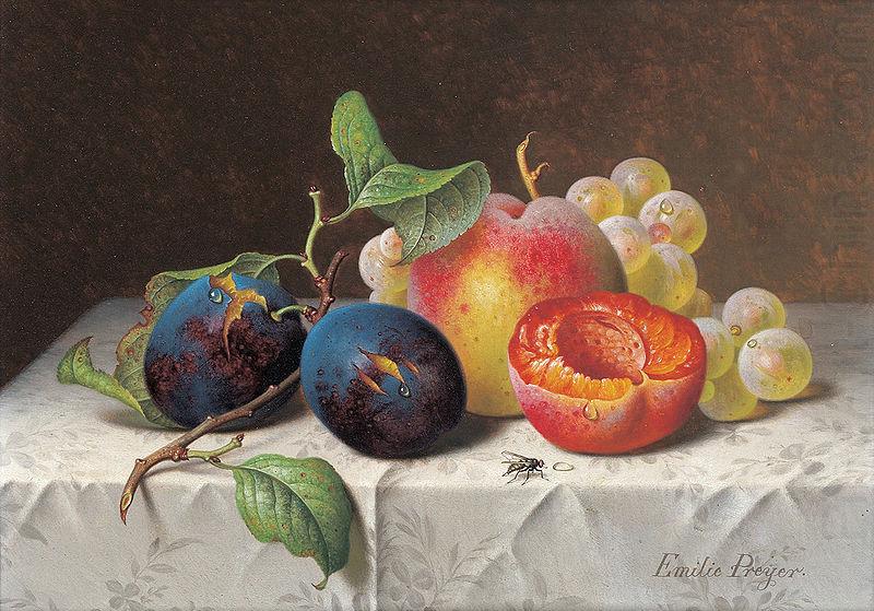 Still Life of Fruit, unknow artist